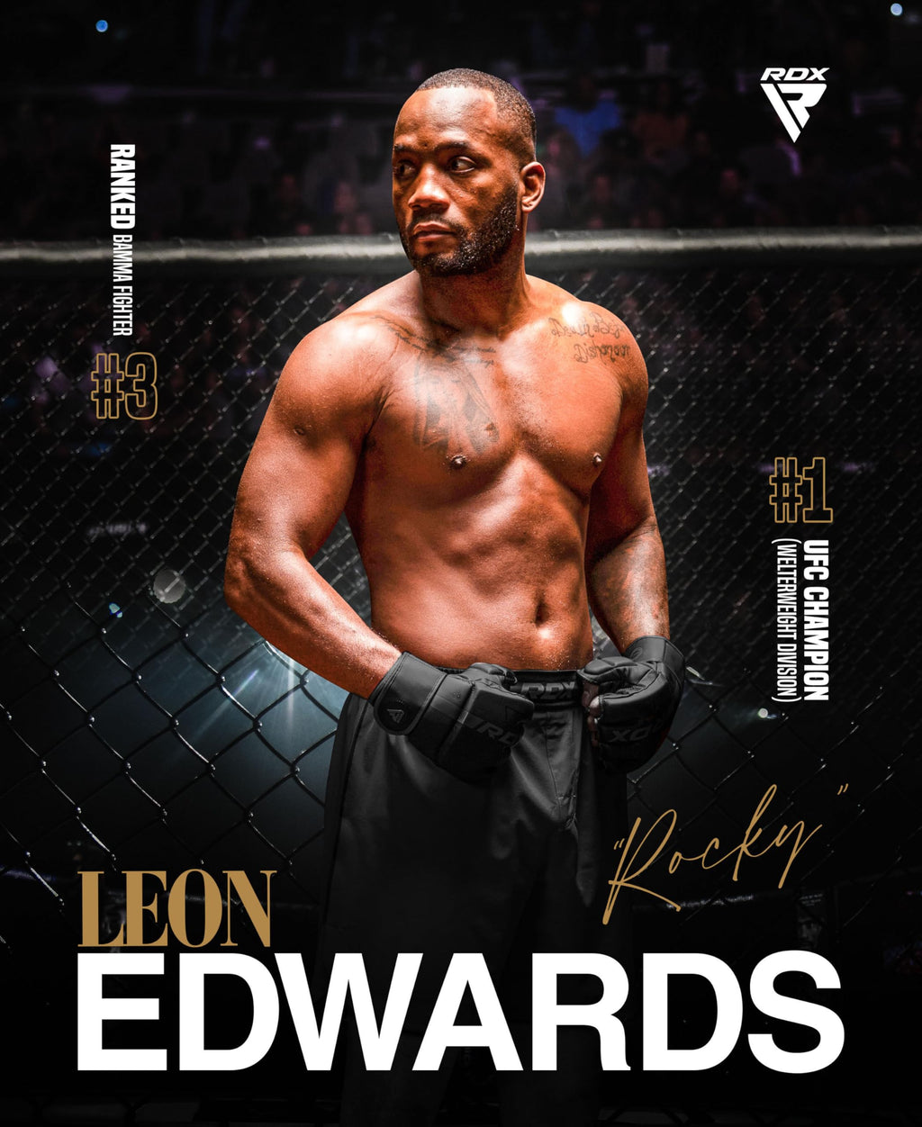 RDX MMA Shorts for Training & Kickboxing – Fighting Shorts for Martial Arts, Cage Fight, Muay Thai, BJJ, Boxing, Grappling